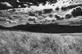 View from Bukowe Berdo in the Bieszczady Mountains in Poland in black and white Royalty Free Stock Photo