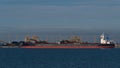 View of bulk carrier Duhallow at Roberts Bank Superport, part of Vancouver Harbour, loading coal at Westshore Terminals. Royalty Free Stock Photo