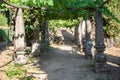 View of a bunches of grapes still green, vineyards on top at the path, old stone pillars and stairs