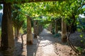 View of a bunches of grapes still green, vineyards on top at the path, old stone pillars and structure Royalty Free Stock Photo