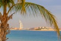 View on Burj al arab Jumeirah and palm tree in Dubai, UAE