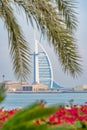 View on Burj al arab Jumeirah and palm tree in Dubai, UAE
