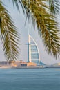 View on Burj al arab Jumeirah and palm tree in Dubai, UAE