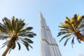 The view on Burj Khalifa and palm trees