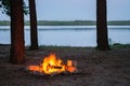 View of burning camp fire by the lake at twilight surrounded by tree silhouettes. Burning fire place by the water surrounded by Royalty Free Stock Photo