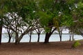 Walkers Point at Mouth of Burrum River