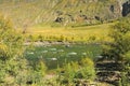 A view through the bushes to the stormy stream of a beautiful mountain turquoise river flowing along the bottom of a deep canyon Royalty Free Stock Photo