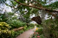 View of the butterfly garden at the Insectarium Royalty Free Stock Photo