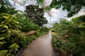 View of the butterfly garden at the Insectarium Royalty Free Stock Photo
