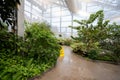 View of the butterfly garden at the Insectarium Royalty Free Stock Photo