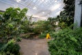 View of the butterfly garden at the Insectarium Royalty Free Stock Photo