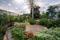 View of the butterfly garden at the Insectarium Royalty Free Stock Photo