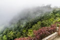 A view from the cable car terminal of clouds obscuring the summit of Mount Isabella in the Dominion Republic