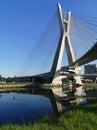 View of cable-stayed bridge in the city of SÃÂ£o Paulo Royalty Free Stock Photo
