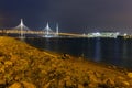 view of the cable-Stayed bridge of the Western high-speed diameter and the tower of the business center of Gazprom Lakhta center