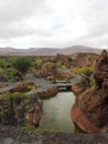 View of cactus garden, jardin de cactus in Guatiza, popular attraction in Lanzarote, Canary islands