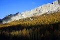 View of Cadini di Misurina in a sunny autumn day.