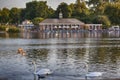 View of the cafe pavilion from the other shore in the background of birds