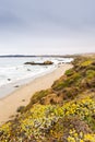 A View of the California Coastline along State Road 1 Royalty Free Stock Photo