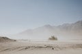 View of the Californian desert