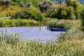 View on a calm lake with old wooden fishing boat in reeds near a shore Royalty Free Stock Photo