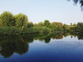 View on a calm sea and a tree area and with a blue sky above Royalty Free Stock Photo