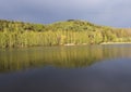 View on calm water of forest lake, fish pond Kunraticky rybnik with birch and spruce trees growing along the shore and Royalty Free Stock Photo