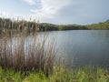 View on calm water of forest lake, fish pond Kunraticky rybnik with birch and spruce trees growing along the shore and Royalty Free Stock Photo