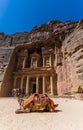 A view of a camel in front of the Treasury building in the ancient city of Petra, Jordan