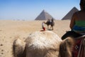 view from the camel, Pyramids of Giza. Cairo Egypt