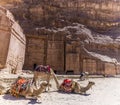A view of camels in front of burial sites in the ancient city of Petra, Jordan Royalty Free Stock Photo