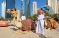 View on camels and people relaxing on Jumeirha beach in Dubai city,United Arab Emirates Royalty Free Stock Photo