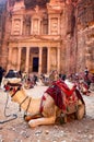 The view of camel in Petra at Treasury Royalty Free Stock Photo