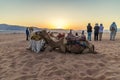 A view of camels and travellers in the early morning light at sunrise in the desert landscape in Wadi Rum, Jordan Royalty Free Stock Photo