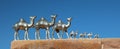 View of camels at Urn tomb petra in the mountains in jordan