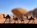 The view of camel in the Wadi Rum Dessert