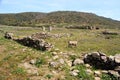 View of Campo Perdu in the island of Asinara