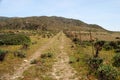 View of Campo Perdu in the island of Asinara