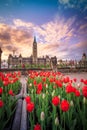 View of Canada Parliament building in Ottawa Royalty Free Stock Photo