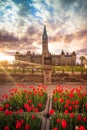 View of Canada Parliament building in Ottawa Royalty Free Stock Photo