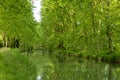 Tree-lined Canal of Garonne in France