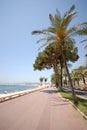 View of Cannes (french riviera Royalty Free Stock Photo