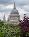 View from Cannon Bridge Roof Garden, London UK. Dome of St Paul`s Cathedral in soft focus in the distance. Royalty Free Stock Photo