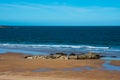 View of the Cantabrian Sea Mar Cantabrico