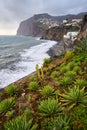 View of Cape GirÃÂ£o with Cactus on the foreground in Camara de Lobos, Madeira Royalty Free Stock Photo