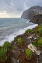 View of Cape GirÃÂ£o with Cactus on the foreground in Camara de Lobos, Madeira Royalty Free Stock Photo