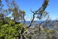 View of Cape of Good Hope from Cape Point in Cape Town on the Cape Peninsula Tour in South Africa Royalty Free Stock Photo