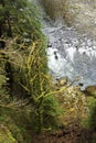 View from Capilano Suspension Bridge, Vancouver, BC Royalty Free Stock Photo