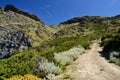 View of Capo Negru Royalty Free Stock Photo