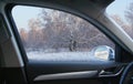 View from the car to the winter birch forest Royalty Free Stock Photo